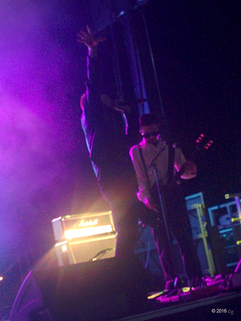 nobrain_20161112_190439